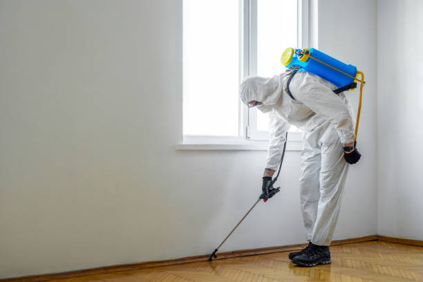 Best Residential Pest Control  in Fairview, TN